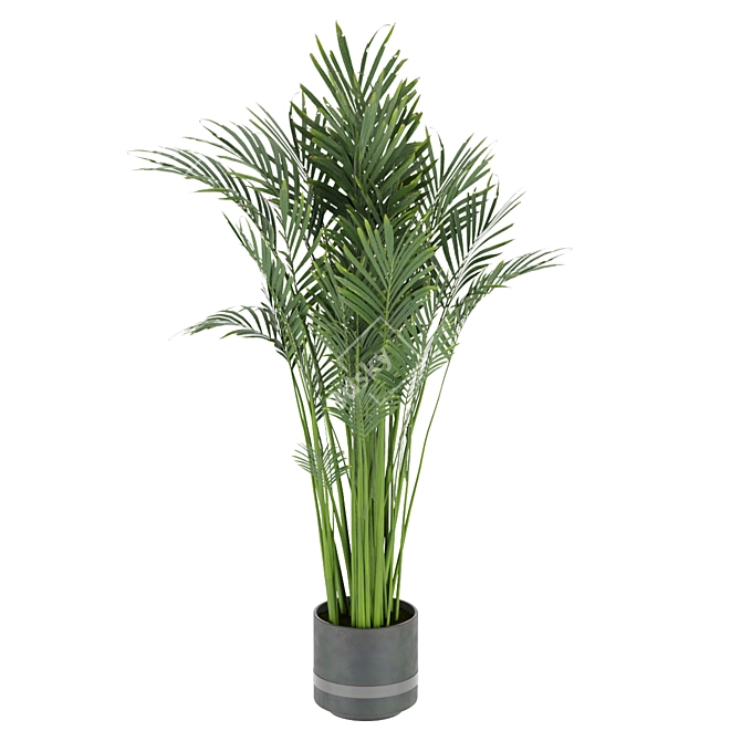 Indoor Palm Leaf - Collection Plant Vol 307 3D model image 4