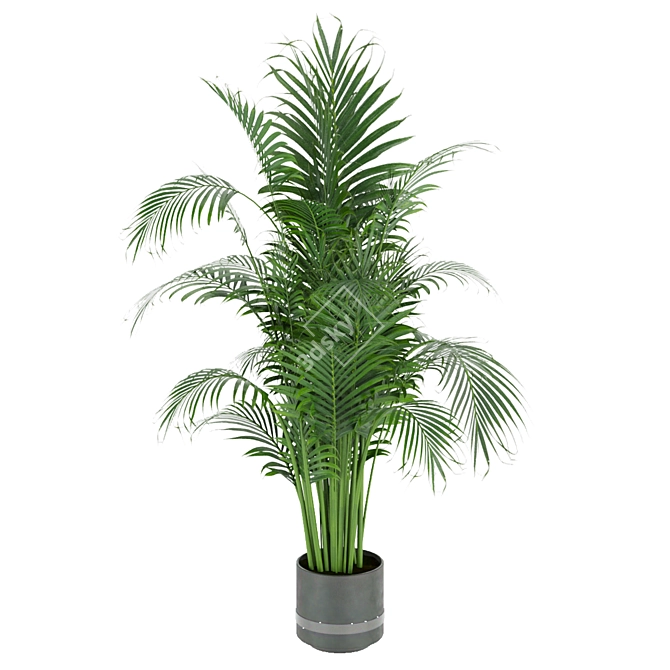 Indoor Palm Leaf - Collection Plant Vol 307 3D model image 6