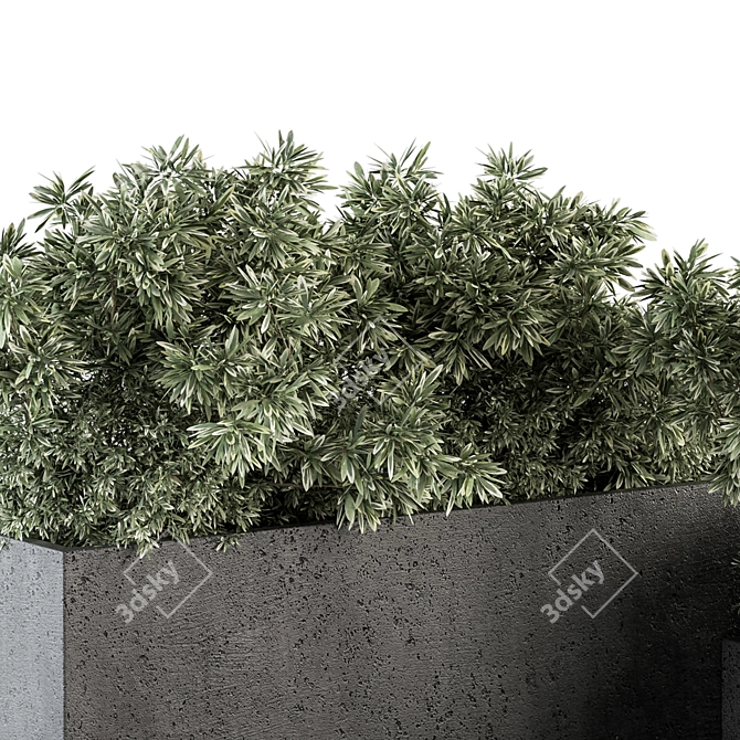 Black Outdoor Plant Box Set 3D model image 2