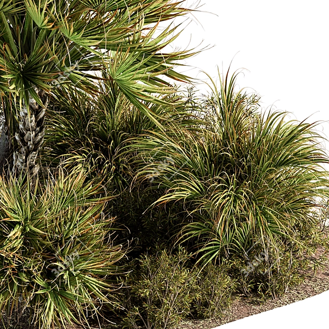 Tropical Oasis - Outdoor Plant Set 3D model image 4