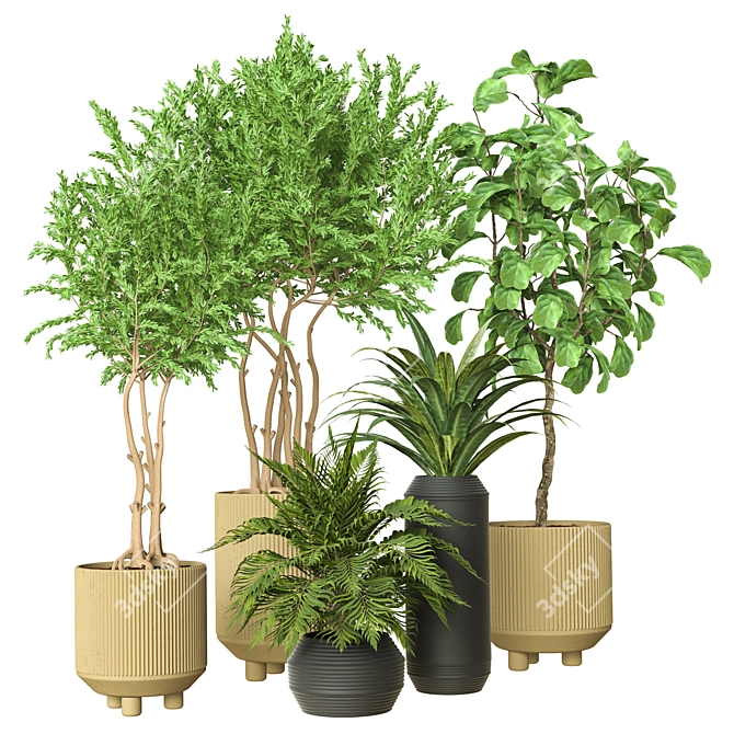 Indoor Plant Vol 35: Realistic 3D Model 3D model image 1