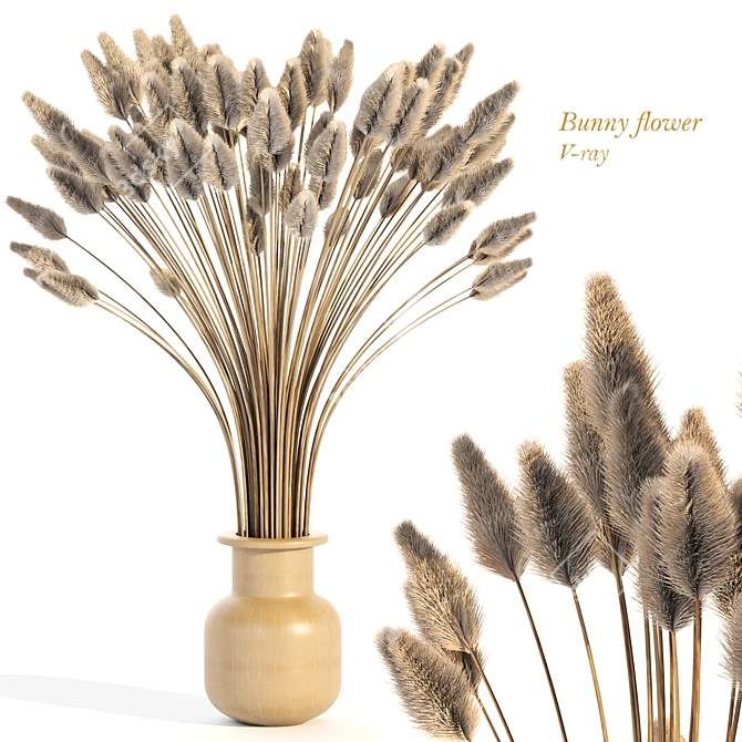 Elegant "Dry Bunny" Flower Arrangement 3D model image 1