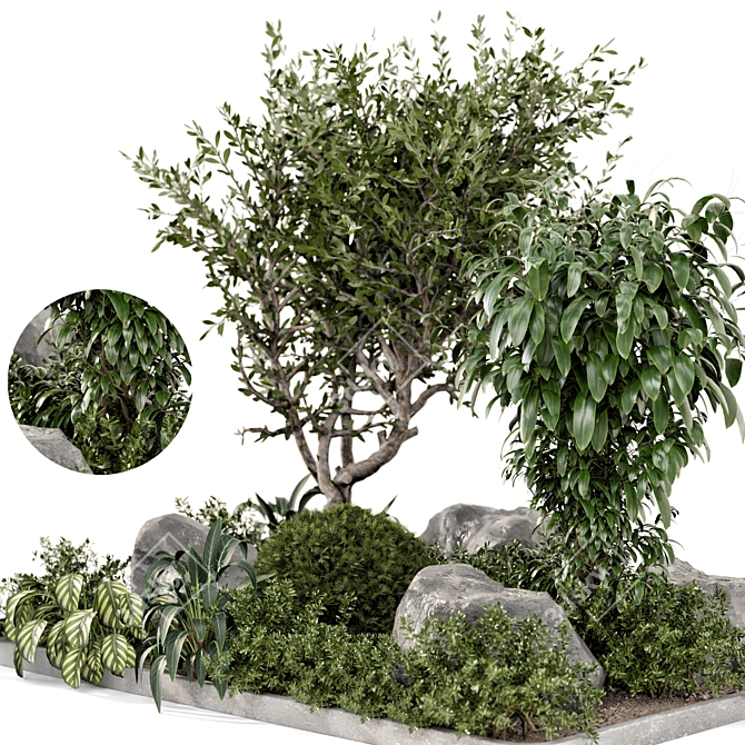 Outdoor Garden Bush and Tree Set 3D model image 2