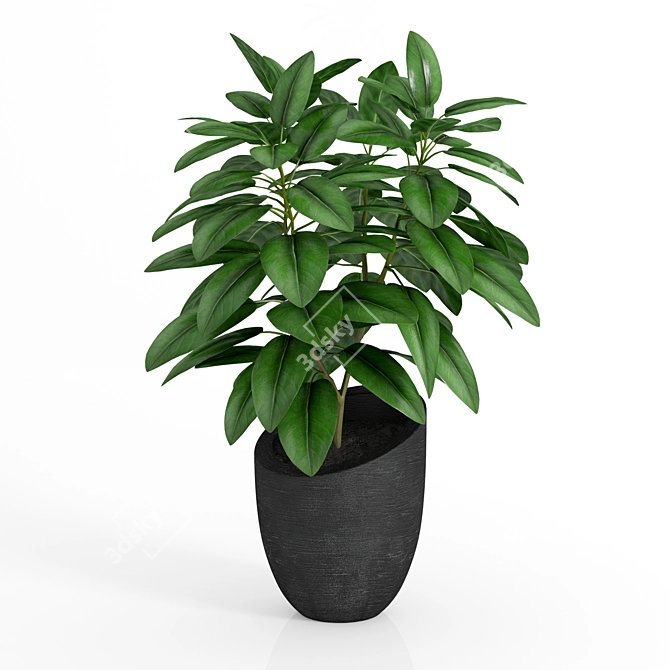 Black Pot Plant: Stylish and Low Maintenance 3D model image 1