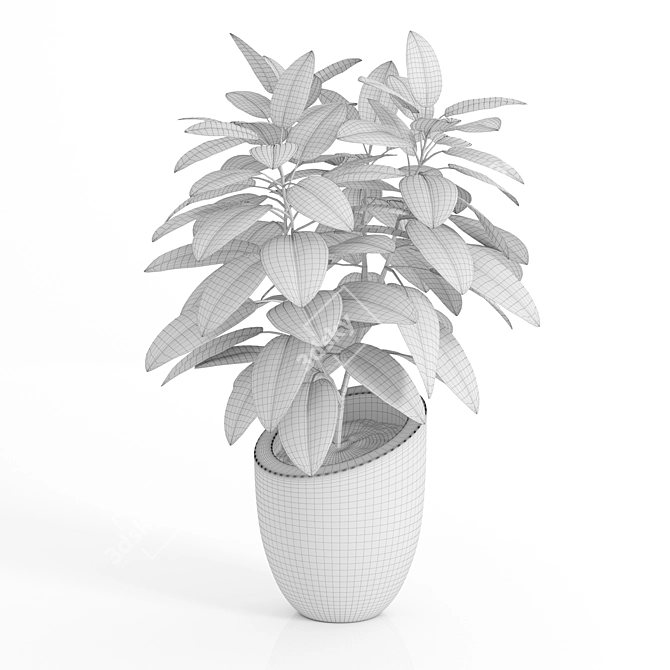 Black Pot Plant: Stylish and Low Maintenance 3D model image 2