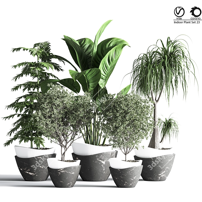 Indoor Plant Set: Green Oasis 3D model image 1