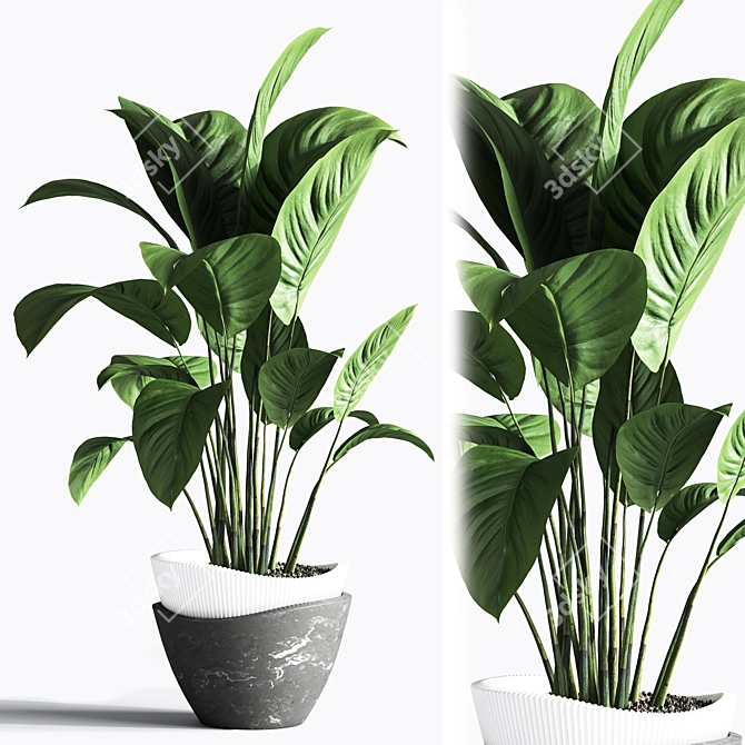 Indoor Plant Set: Green Oasis 3D model image 2