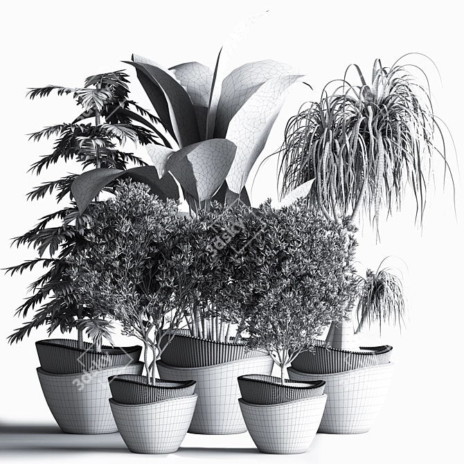 Indoor Plant Set: Green Oasis 3D model image 6