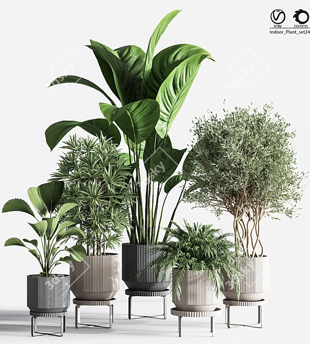 Title: Gorgeous 24-Piece Indoor Plant Set 3D model image 1