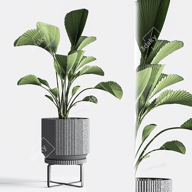 Title: Gorgeous 24-Piece Indoor Plant Set 3D model image 6