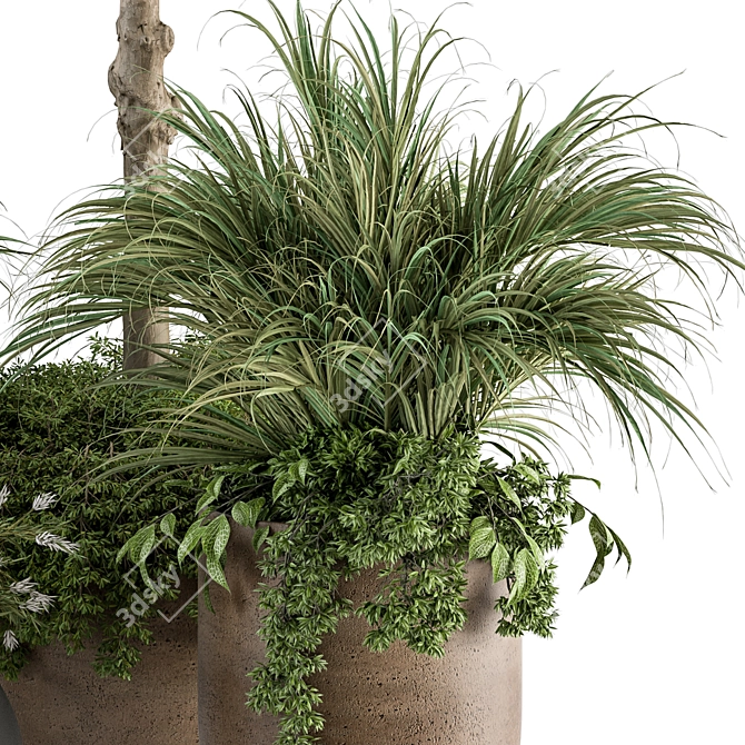 342-Piece Indoor Plant Set 3D model image 2