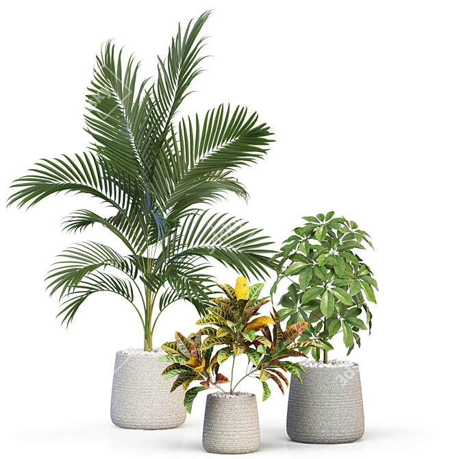 Botanical Oasis: Precisely Crafted Plants 3D model image 2