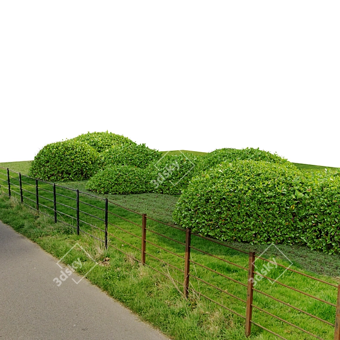  Emerald Green Ligustrum Bush 3D model image 2