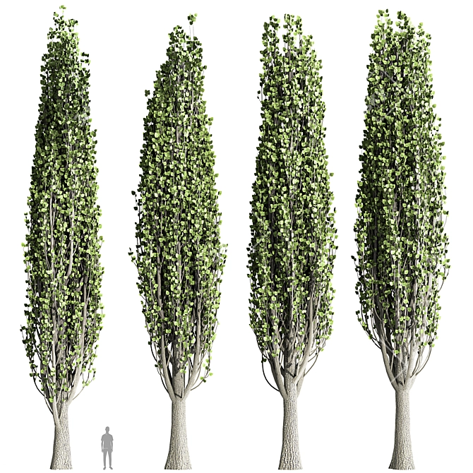Nature's Embrace: Tree Collection 3D model image 1