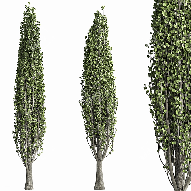 Nature's Embrace: Tree Collection 3D model image 3