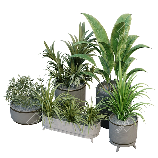 Boxed Interior Plant Set 3D model image 5