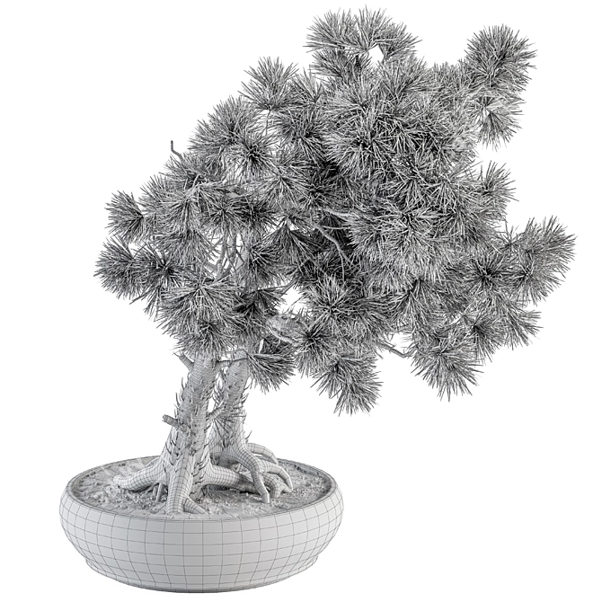 Pine Bonsai Plant - Indoor Zen 3D model image 4