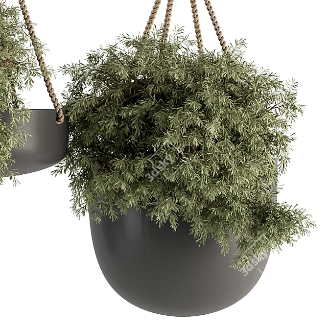 Hanging Plant Set with Rope 3D model image 2