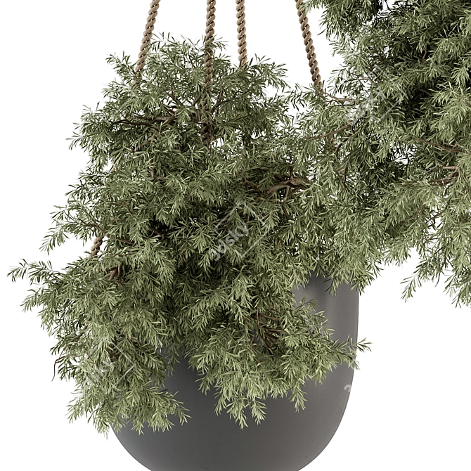 Hanging Plant Set with Rope 3D model image 3