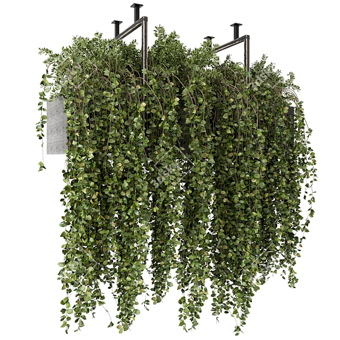 Elegant Hanging Greenery in Metal Box 3D model image 1