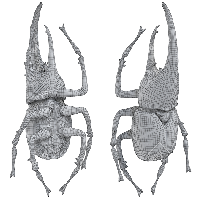  Beetle III Wall Accessory: Loft-Concept 41cm 3D model image 7