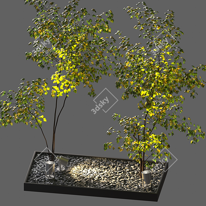 Backyard Oasis: Gravel, Stone, Spotlight, Plant 3D model image 2