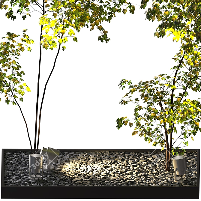 Backyard Oasis: Gravel, Stone, Spotlight, Plant 3D model image 5