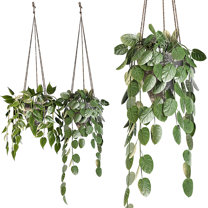 Modern Pothos Indoor Plant Set 3D model image 1