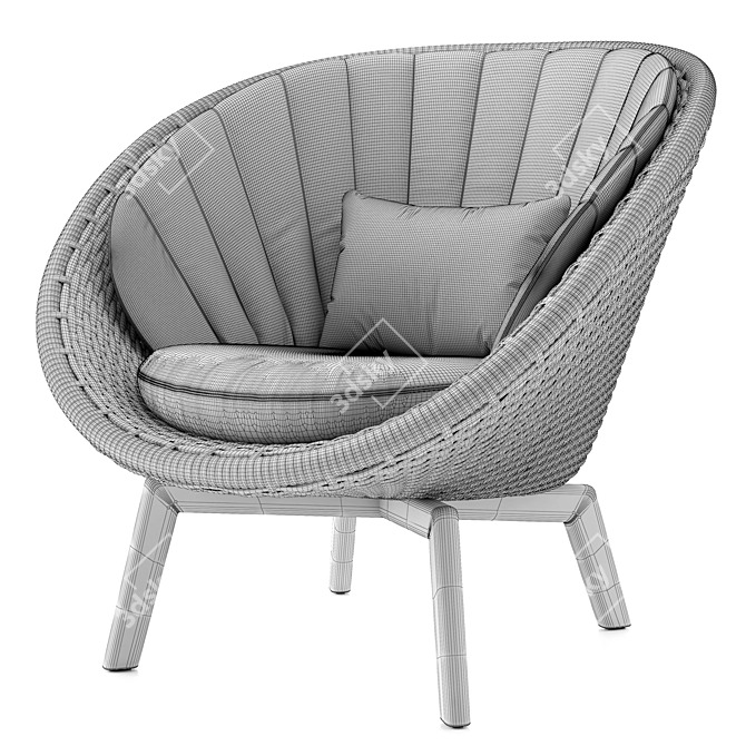 Danish Design Peacock Lounge Chair 3D model image 7