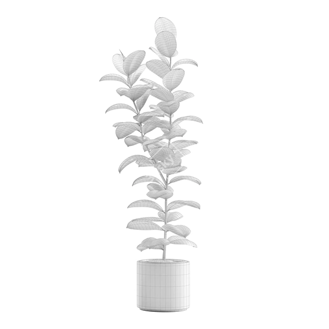 Burgundy Rubber Tree: Tropical Flair 3D model image 7
