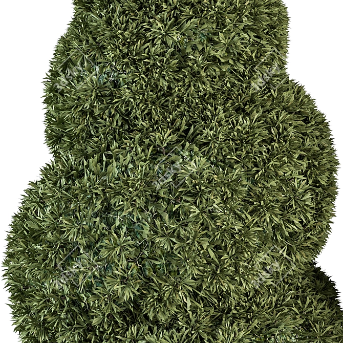 Elegant Topiary Bush Set 3D model image 3