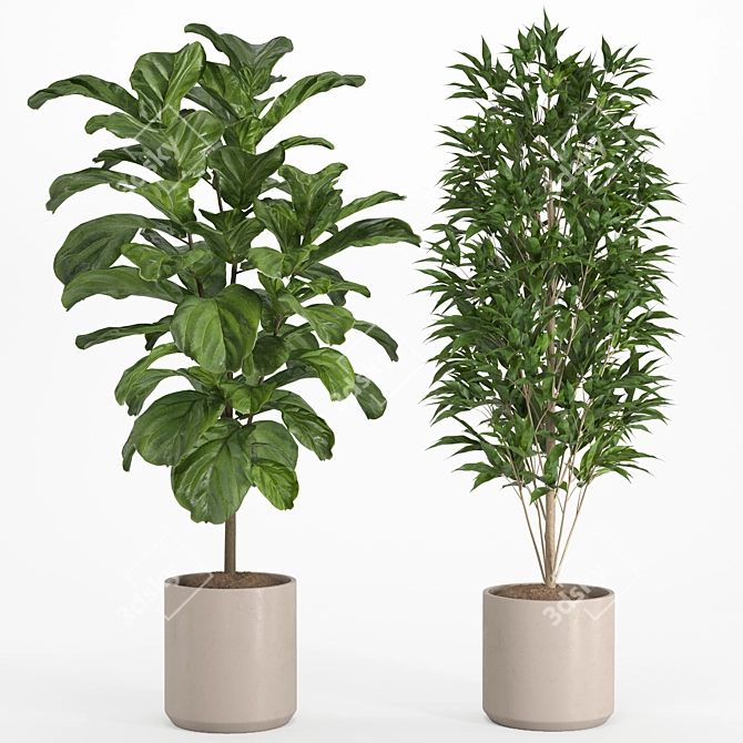 Lush Indoor Plant Set 016 3D model image 2