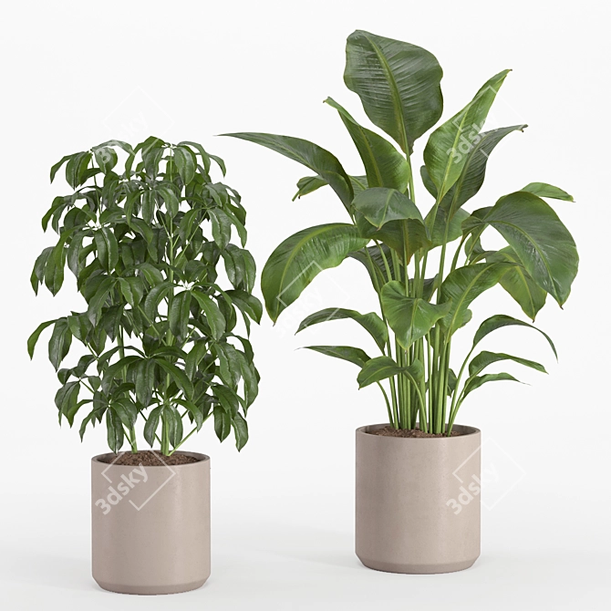 Lush Indoor Plant Set 016 3D model image 3