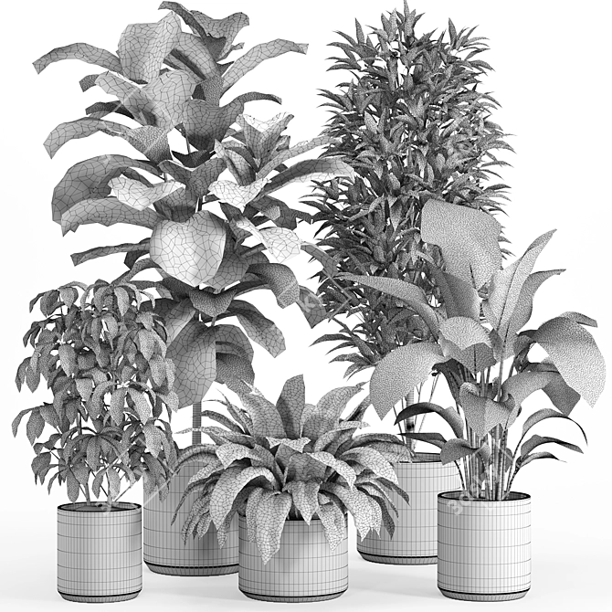 Lush Indoor Plant Set 016 3D model image 4