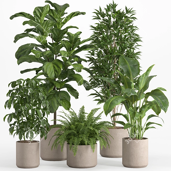 Lush Indoor Plant Set 016 3D model image 5