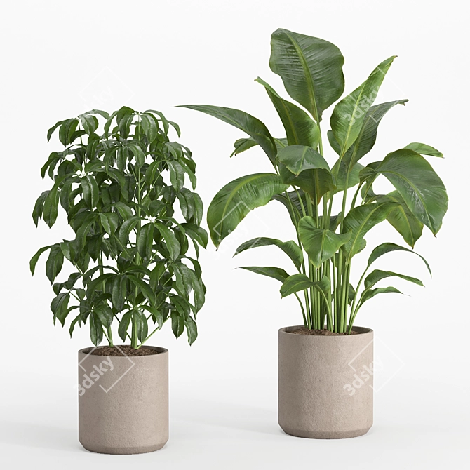 Lush Indoor Plant Set 016 3D model image 7