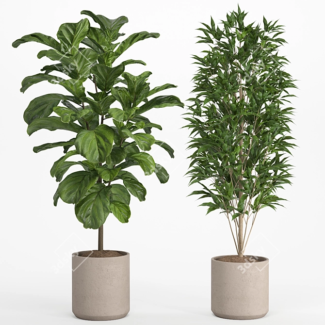 Lush Indoor Plant Set 016 3D model image 8