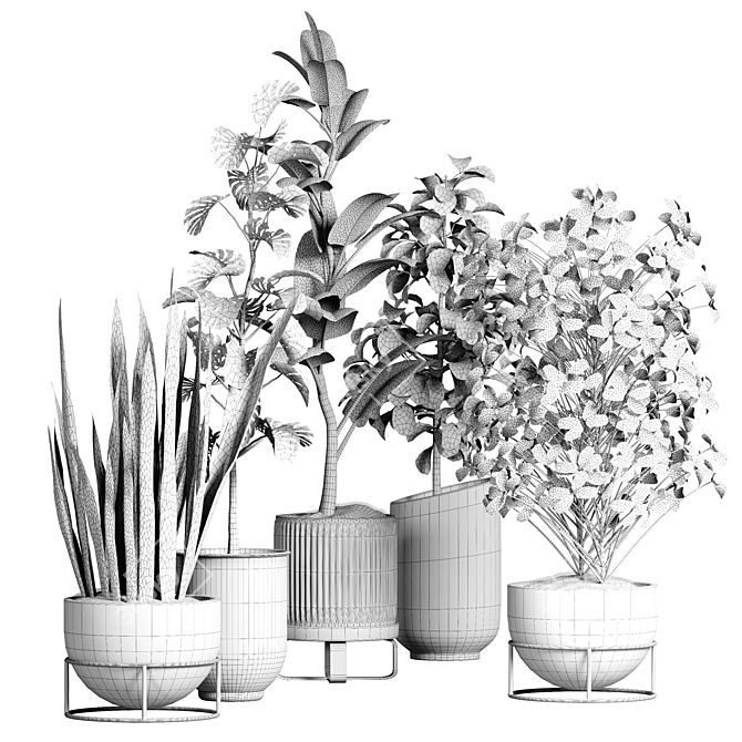 Indoor Plant Collection 43 3D model image 5