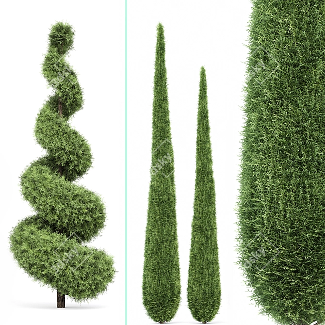 Beloved Italian Cypress: 6 Stunning Trees 3D model image 4