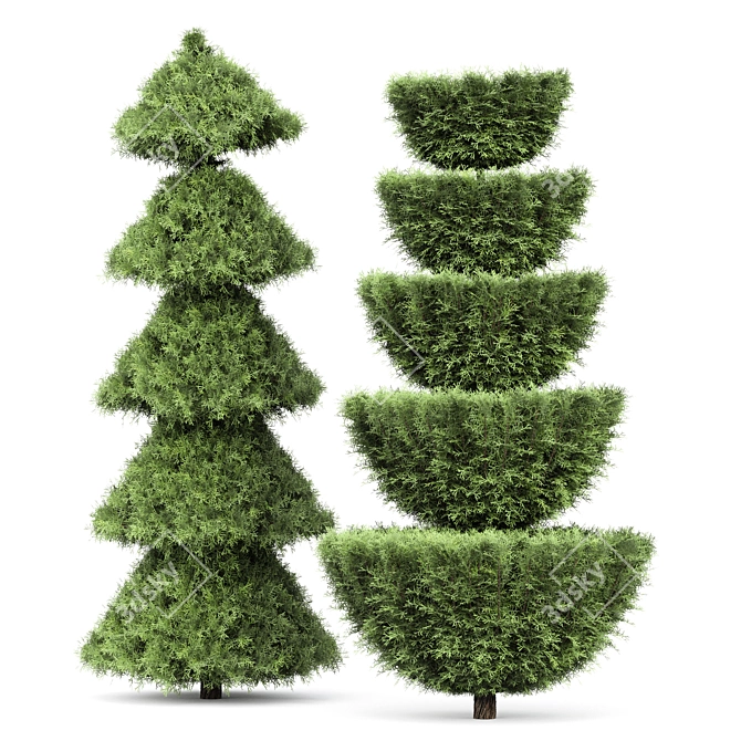 Beloved Italian Cypress: 6 Stunning Trees 3D model image 5