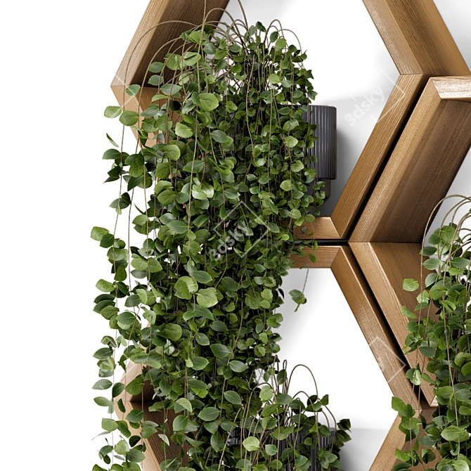  Hanging Indoor Plants: Concrete Pot on Wooden Shelve 3D model image 3