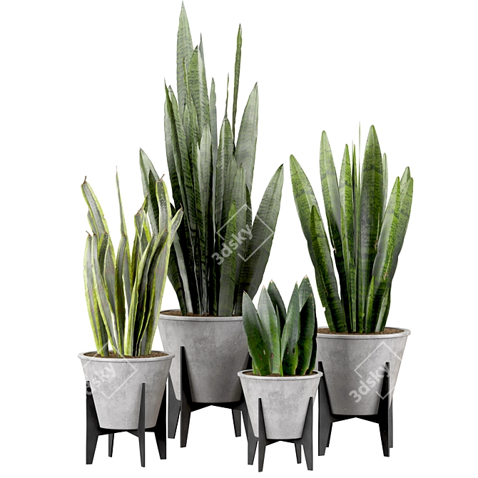 Botanical Bliss: Indoor Houseplants Set 3D model image 1