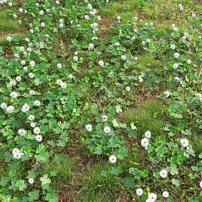 Meadow Bliss: Clover Plants 3D model image 2