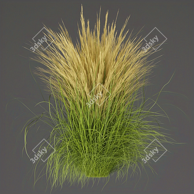 Grass Collection - High-Quality Outdoor Leaf Models 3D model image 2