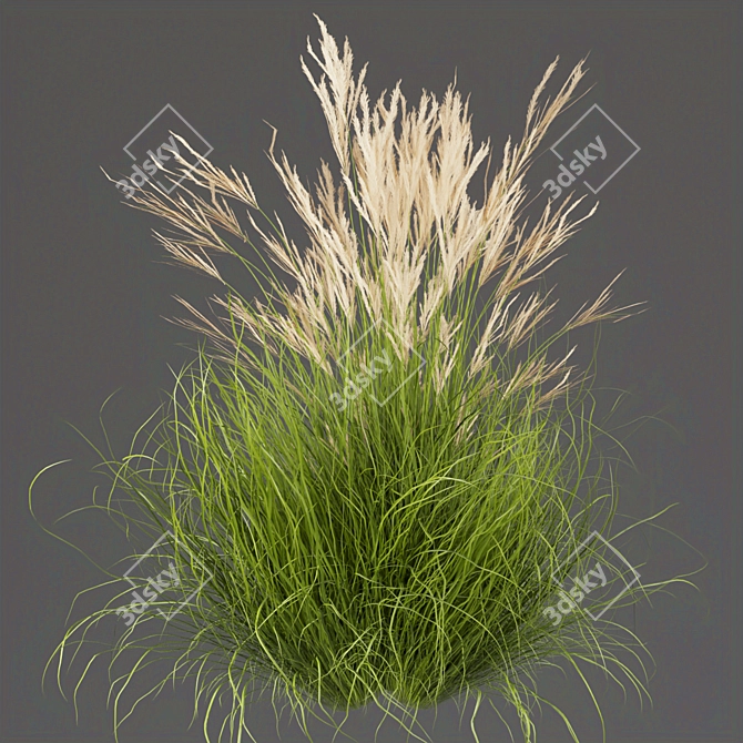 Grass Collection - High-Quality Outdoor Leaf Models 3D model image 3