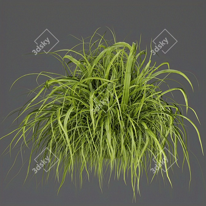 Grass Collection - High-Quality Outdoor Leaf Models 3D model image 5