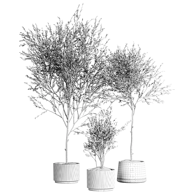 Indoor Plant Collection 3D model image 3