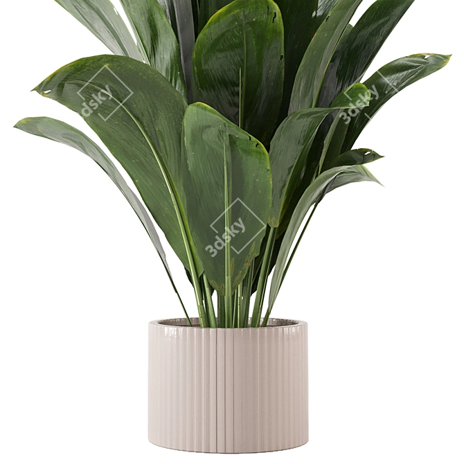  Lush Greens Indoor Plants Set 3D model image 2