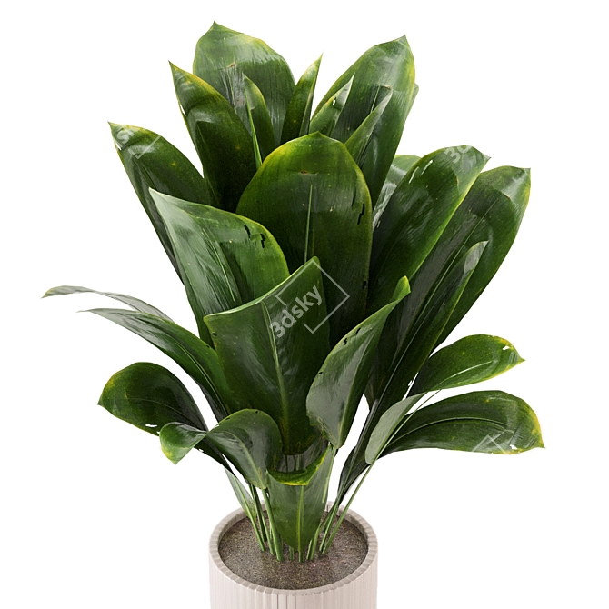  Lush Greens Indoor Plants Set 3D model image 3