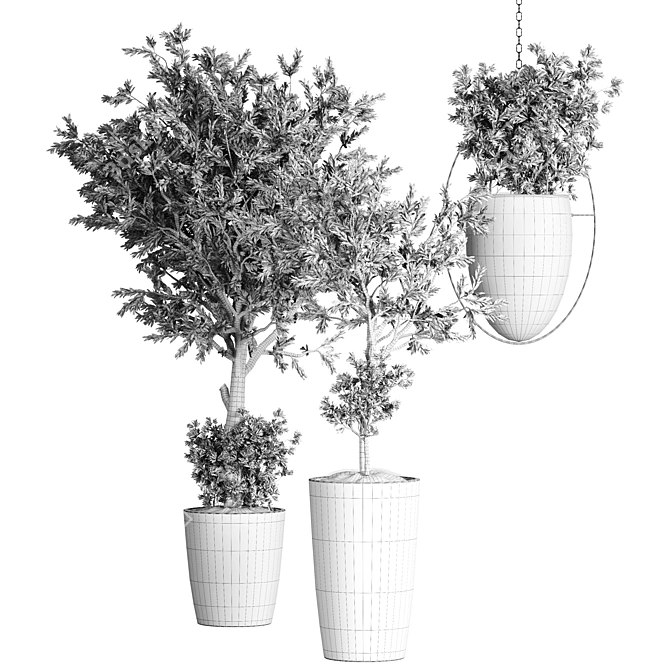 Indoor Plant Collection: 48 Varieties 3D model image 4